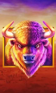 Buffalo King