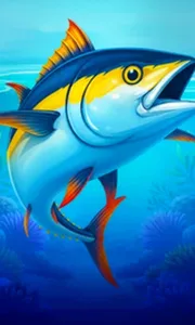 Big Boat Big Catch